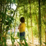 Mattis sem interdum magna augue eget diam