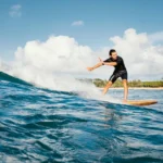 Integer nec odio praesent libero sed cursus