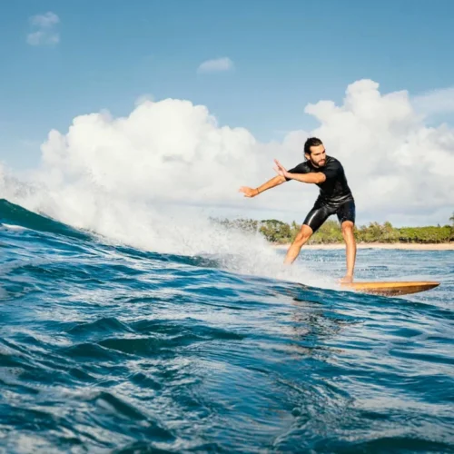 Integer nec odio praesent libero sed cursus